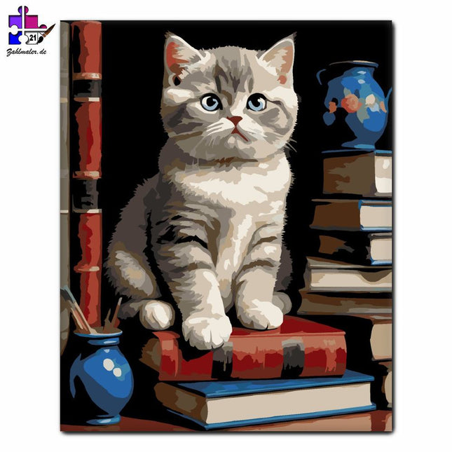 Denkende Britisch-Kurzhaar-Kätzchen | Malen nach Zahlen-Zahlmaler.de