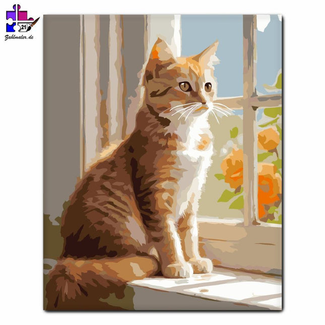 Rot getigertes Kätzchen sitzt in der Sonne | Malen nach Zahlen-Zahlmaler.de