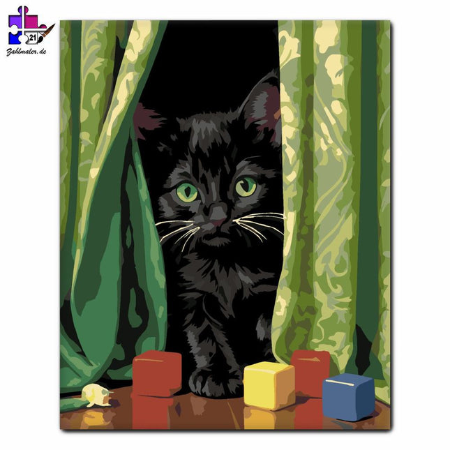 Verspielter schwarzer Kätzchenvorhang hinter | Malen nach Zahlen-Zahlmaler.de