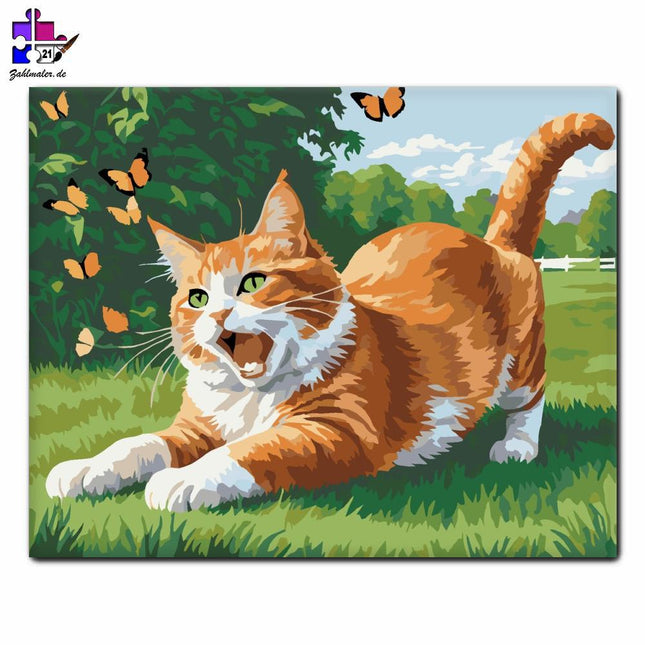 Verspielte rote Tabby mit Schmetterlingen | Malen nach Zahlen-Zahlmaler.de