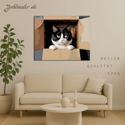 Neugierige Smokey Cat in a Box | Malen nach Zahlen-Zahlmaler.de