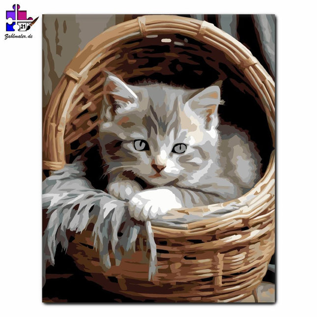 Graues Kätzchen im Korb | Malen nach Zahlen-Zahlmaler.de
