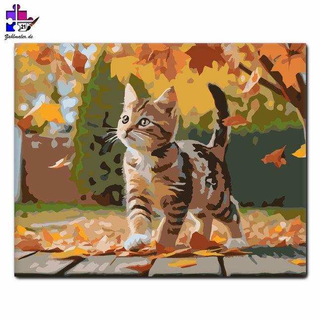 Verspieltes Tabby-Kätzchen in Autumn Leaf Drop | Malen nach Zahlen-Zahlmaler.de