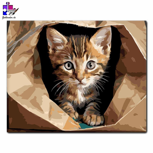 Neugieriges Tabby-Kätzchen in Papiertüte | Malen nach Zahlen-Zahlmaler.de