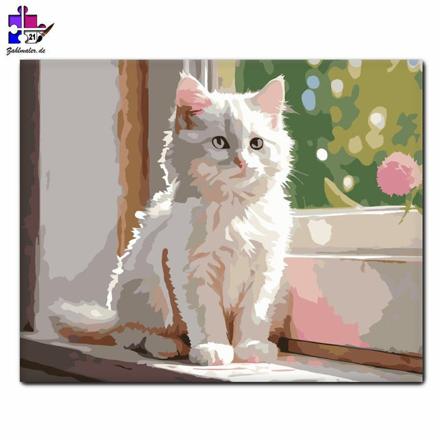 Weißes Kätzchen auf der Fensterbank | Malen nach Zahlen-Zahlmaler.de