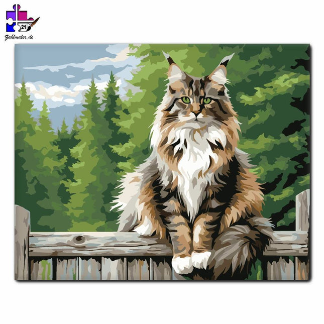 Stolze Maine Coon auf dem Zaun | Malen nach Zahlen-Zahlmaler.de