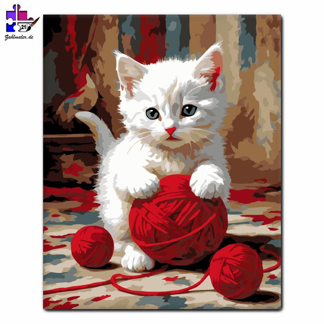 Weißes Kätzchen mit roter Borte | Malen nach Zahlen-Zahlmaler.de