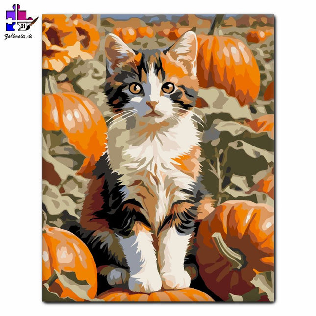 Kätzchen unter den Kürbissen | Malen nach Zahlen-Zahlmaler.de