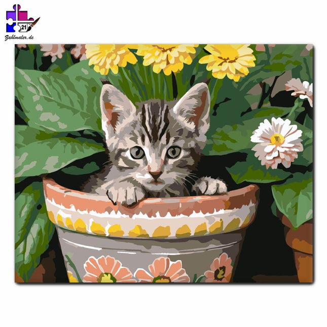 Neugieriges Tabby-Kätzchen im Blumentopf | Malen nach Zahlen-Zahlmaler.de