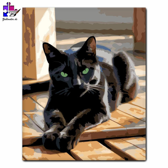 Faulenzende schwarze Katze | Malen nach Zahlen-Zahlmaler.de