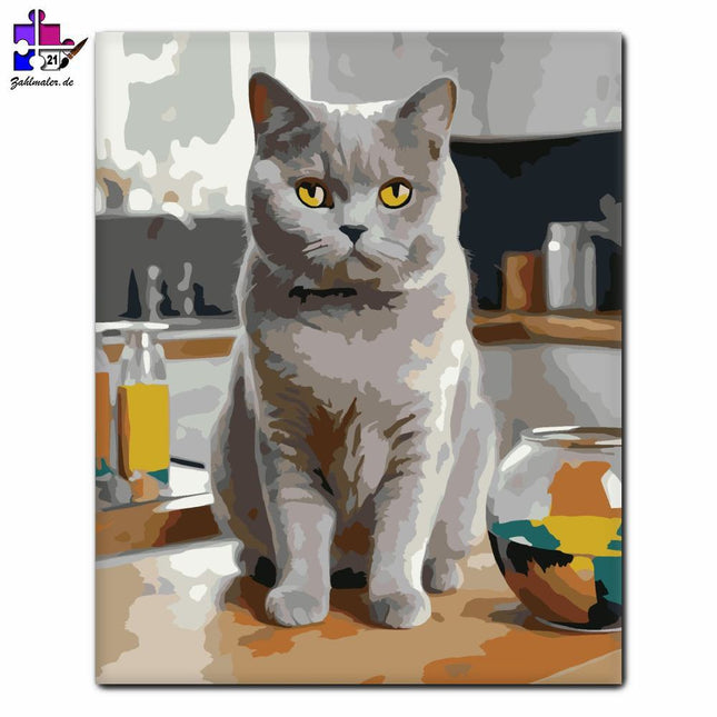 Britisch-Kurzhaar-Katze auf der Küchentheke | Malen nach Zahlen-Zahlmaler.de