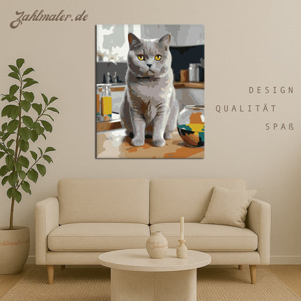 Britisch-Kurzhaar-Katze auf der Küchentheke | Malen nach Zahlen-Zahlmaler.de