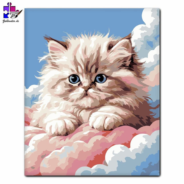 Persa Kitty auf Wolken | Malen nach Zahlen-Zahlmaler.de