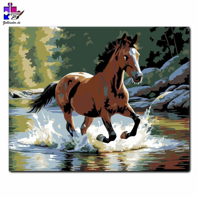 Verspieltes Seepferdchen im Bach | Malen nach Zahlen-Zahlmaler.de