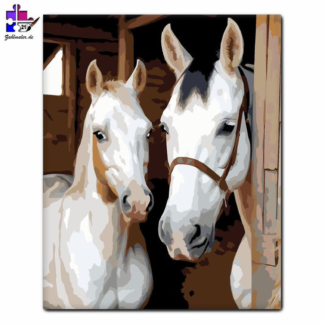 Weiße Küken im Stall | Malen nach Zahlen-Zahlmaler.de