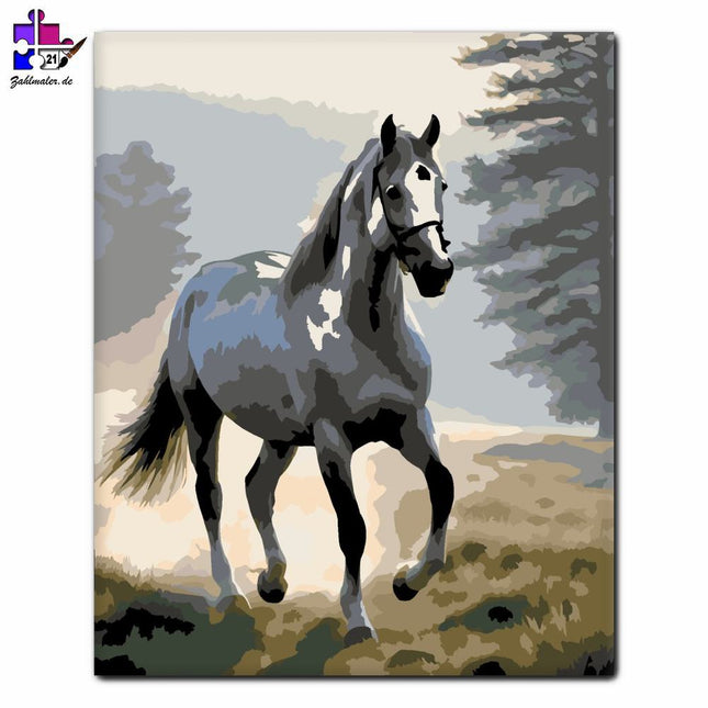 Graues Pferd im Nebeltal | Malen nach Zahlen-Zahlmaler.de