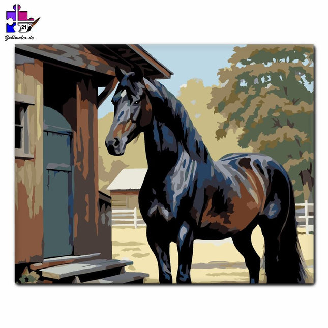 Friesenpferd im Stall | Malen nach Zahlen-Zahlmaler.de