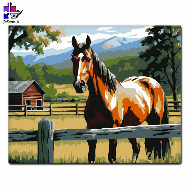 Ruhiges Pej-Pferd auf dem Bauernhof | Malen nach Zahlen-Zahlmaler.de