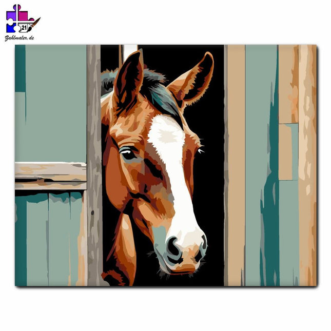 Neugieriges junges Fohlen im Stall | Malen nach Zahlen-Zahlmaler.de