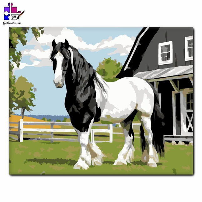 Gypsy Vanner Pferd vor der Farm | Malen nach Zahlen-Zahlmaler.de