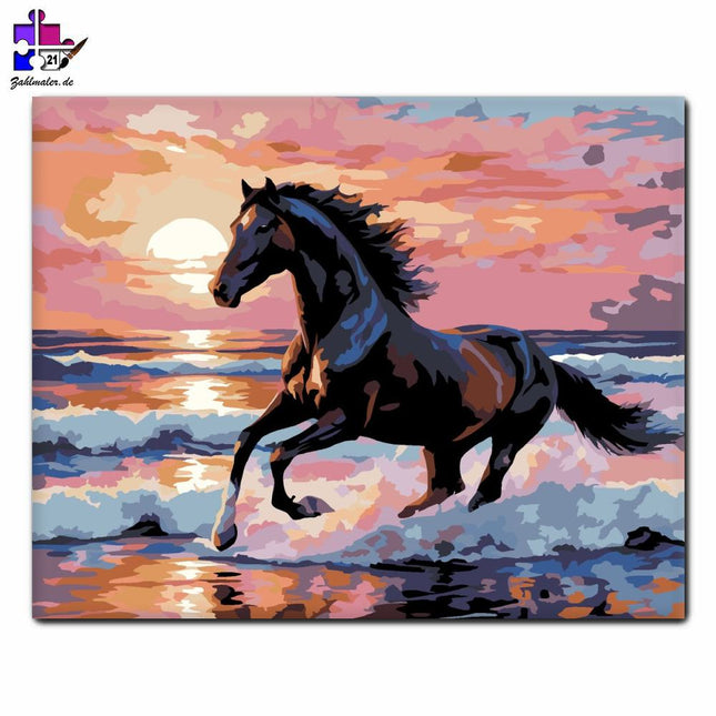 Schwarzer Hengst am Meeresstrand | Malen nach Zahlen-Zahlmaler.de