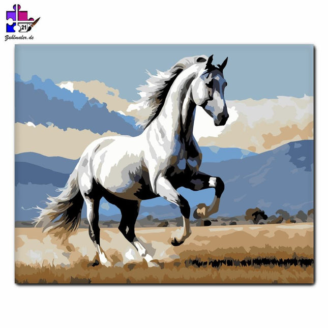 Graues Andalusierpferd stolziert auf | Malen nach Zahlen-Zahlmaler.de