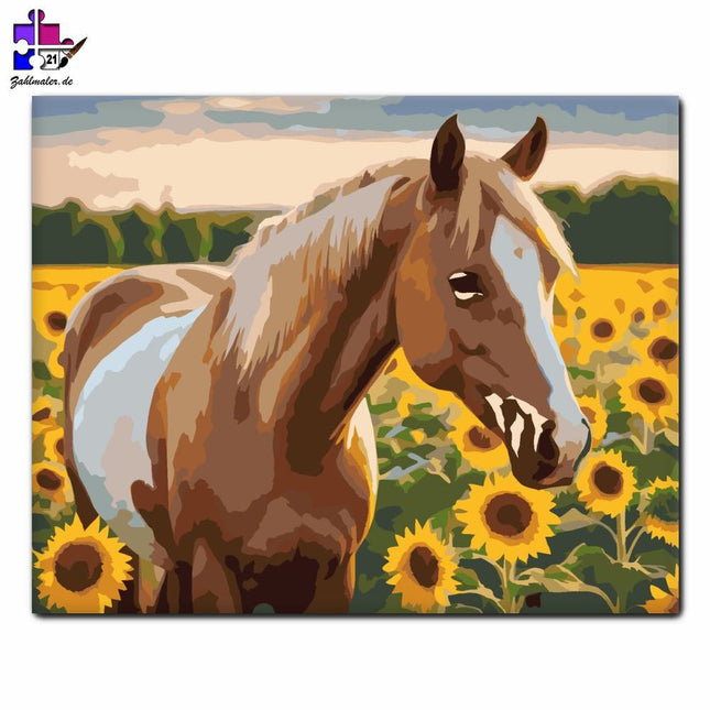Palomino Pferd zwischen Sonnenblumen | Malen nach Zahlen-Zahlmaler.de