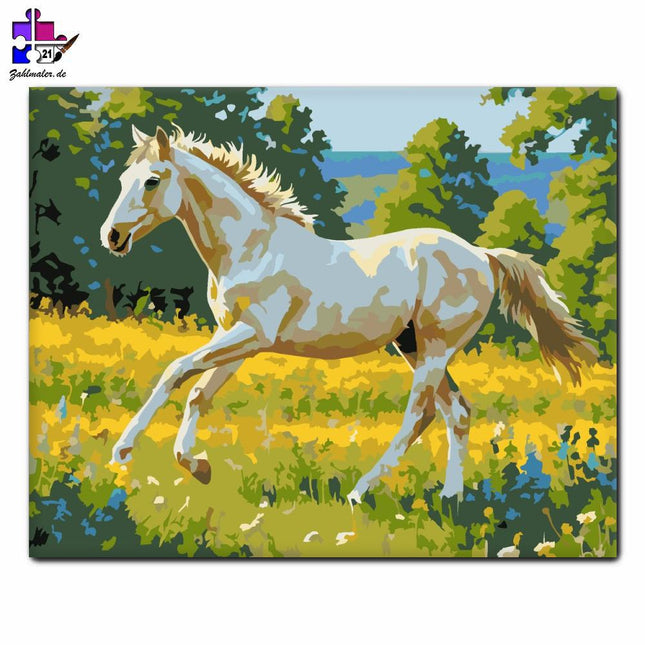 Verspieltes Seepferdchen auf der Wildblumenwiese | Malen nach Zahlen-Zahlmaler.de