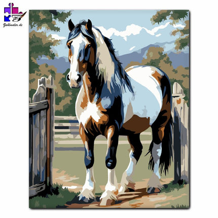 Gypsy Vanner Pferd am Zaun | Malen nach Zahlen-Zahlmaler.de