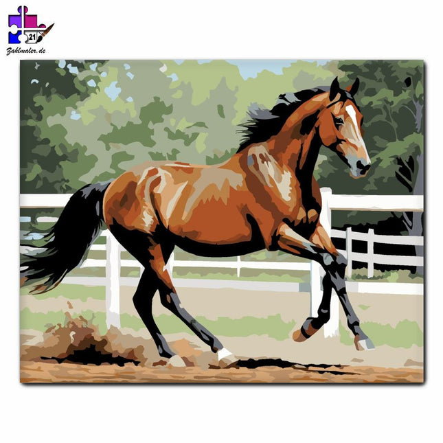 Tänzelndes Pej-Pferd auf dem Hof der Ranch | Malen nach Zahlen-Zahlmaler.de