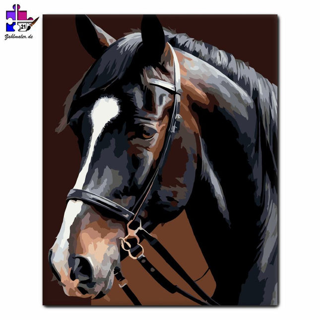 Friesenpferd Close Portrait | Malen nach Zahlen-Zahlmaler.de