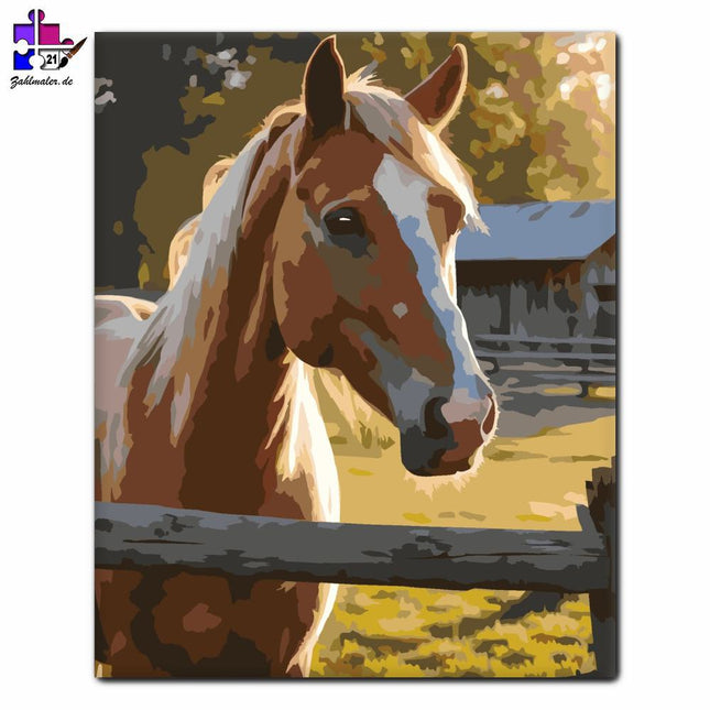 Palomino Pferd in der Morgendämmerung | Malen nach Zahlen-Zahlmaler.de