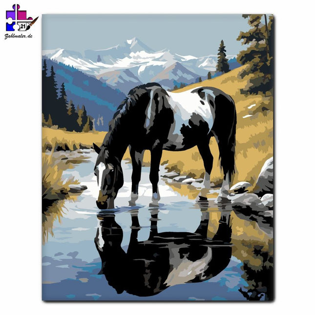 Schwarzes und weißes Scheckenpferd am Gebirgsbach | Malen nach Zahlen-Zahlmaler.de
