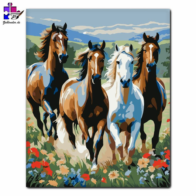 Tänzelnde Pferde auf der Wildblumenwiese | Malen nach Zahlen-Zahlmaler.de