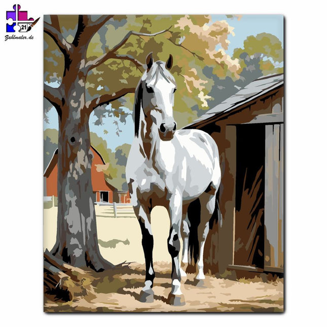 Graues Pferd bei den Ställen | Malen nach Zahlen-Zahlmaler.de