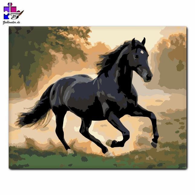 Friesenpferd im nebligen Feld | Malen nach Zahlen-Zahlmaler.de