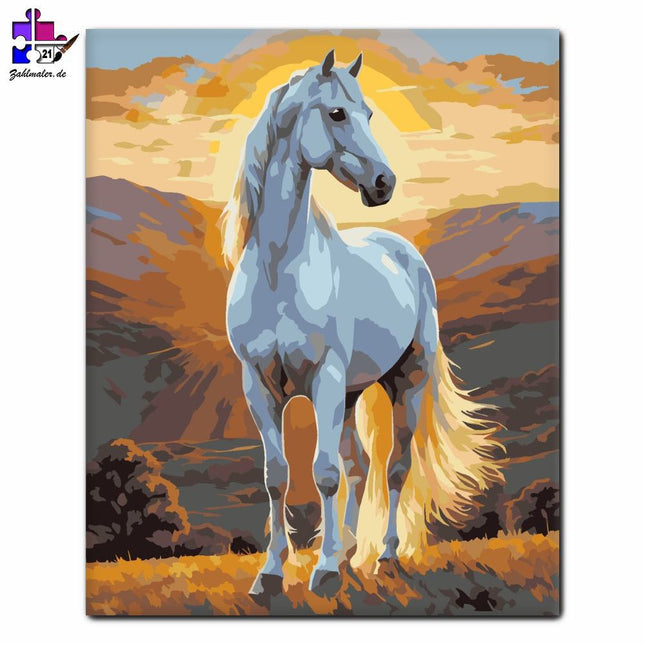 Arabische Reinheit | Malen nach Zahlen-Zahlmaler.de