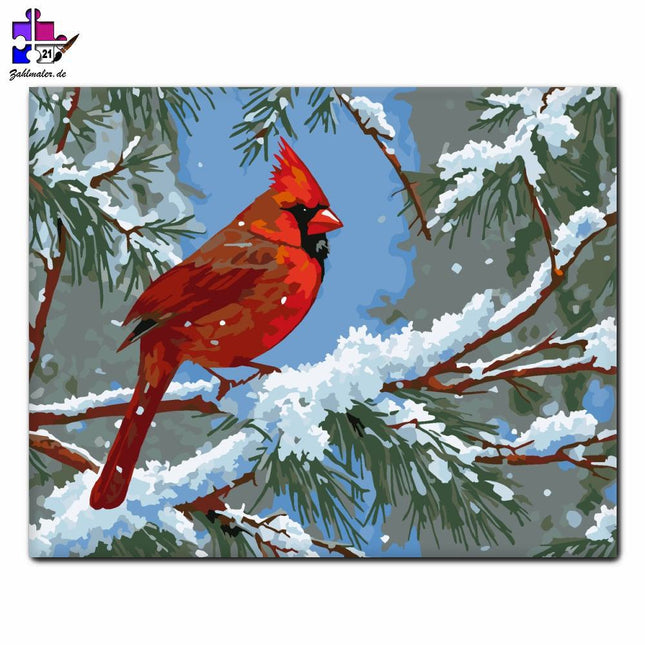 Roter Kardinal auf dem schneebedeckten Berg | Malen nach Zahlen-Zahlmaler.de