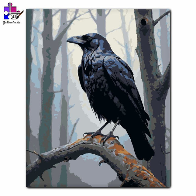 Schwarze Krähe im Wald | Malen nach Zahlen-Zahlmaler.de