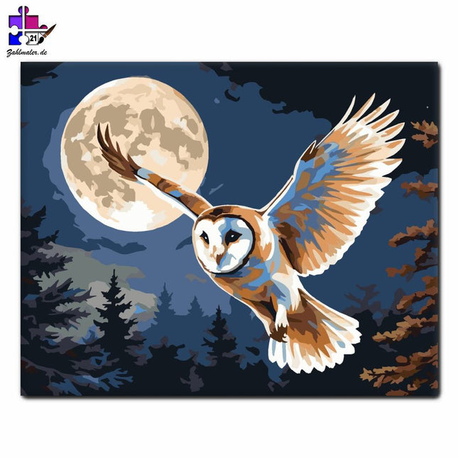 Eule Nachtfegen | Malen nach Zahlen-Zahlmaler.de
