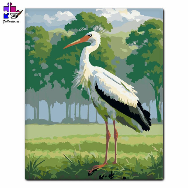 Weißstorch auf dem morgendlichen Feld | Malen nach Zahlen-Zahlmaler.de