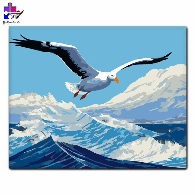 Albatros über dem offenen Ozean | Malen nach Zahlen-Zahlmaler.de
