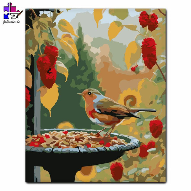 Rotkehlchen im Herbstgarten | Malen nach Zahlen-Zahlmaler.de