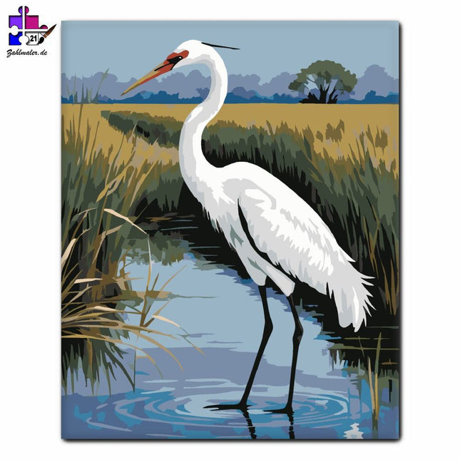 Weißer Kranich im Sumpfgebiet | Malen nach Zahlen-Zahlmaler.de