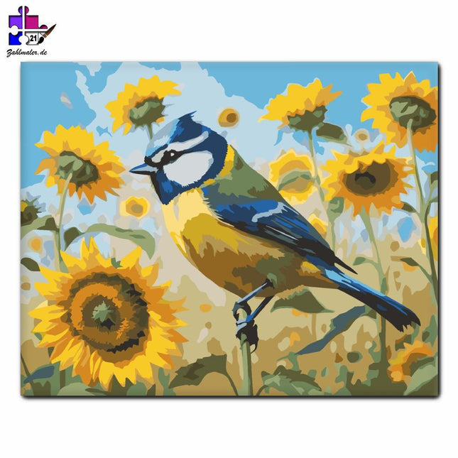 Blaue Cinege unter den Sonnenblumen | Malen nach Zahlen-Zahlmaler.de