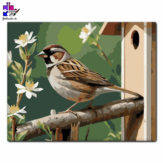 Spatz am Vogelloch | Malen nach Zahlen-Zahlmaler.de