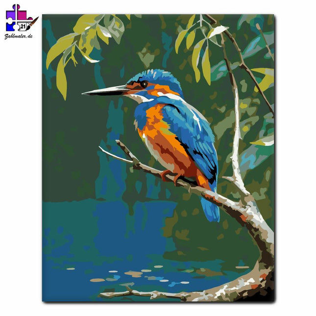 Eisvogel über dem Fluss | Malen nach Zahlen-Zahlmaler.de