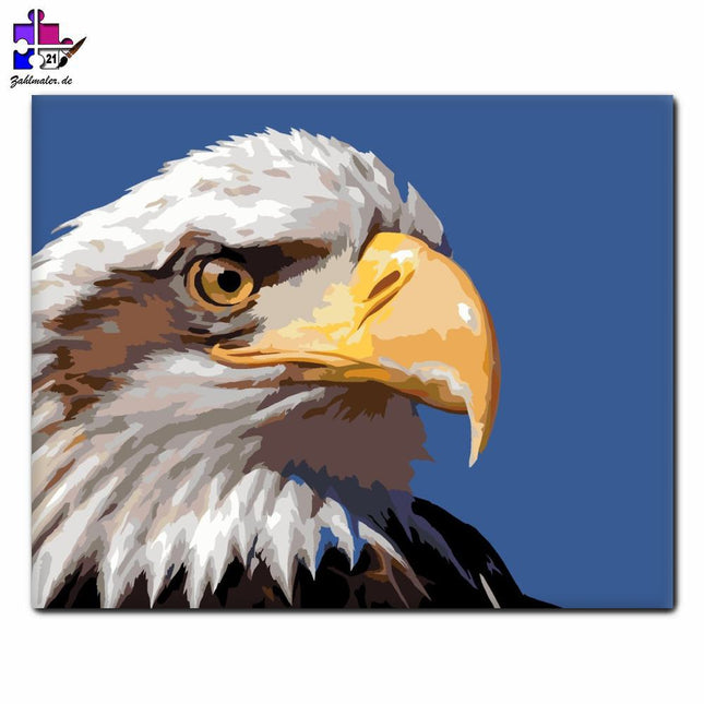 Weißkopf-Netzmikroskopie Nahaufnahme | Malen nach Zahlen-Zahlmaler.de