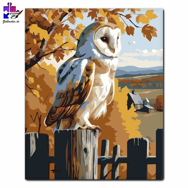 Schleiereule in der Herbstlandschaft | Malen nach Zahlen-Zahlmaler.de