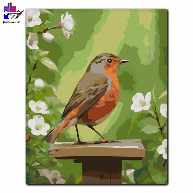 Rotkehlchen im Vogelnest | Malen nach Zahlen-Zahlmaler.de